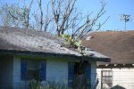 Cactus thru the roof